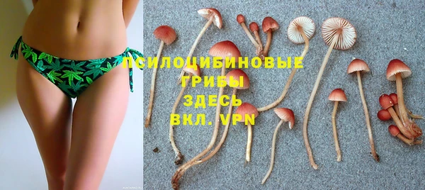 твердый Алексин