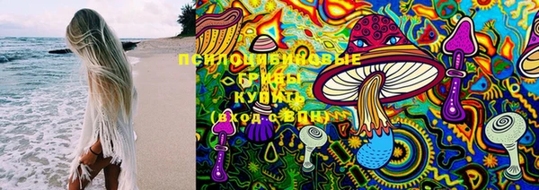 прущая мука Алзамай
