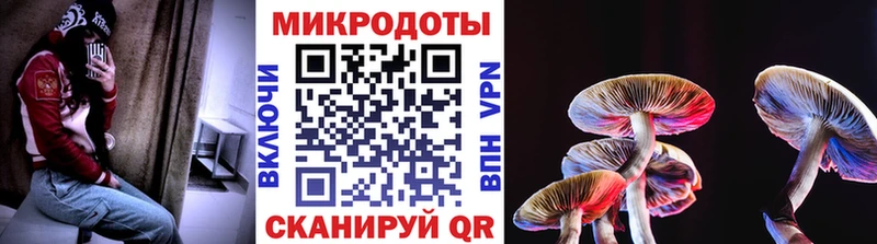 Псилоцибиновые грибы прущие грибы  Владивосток 